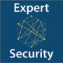 EXPERT SECURITY - 2022 logo